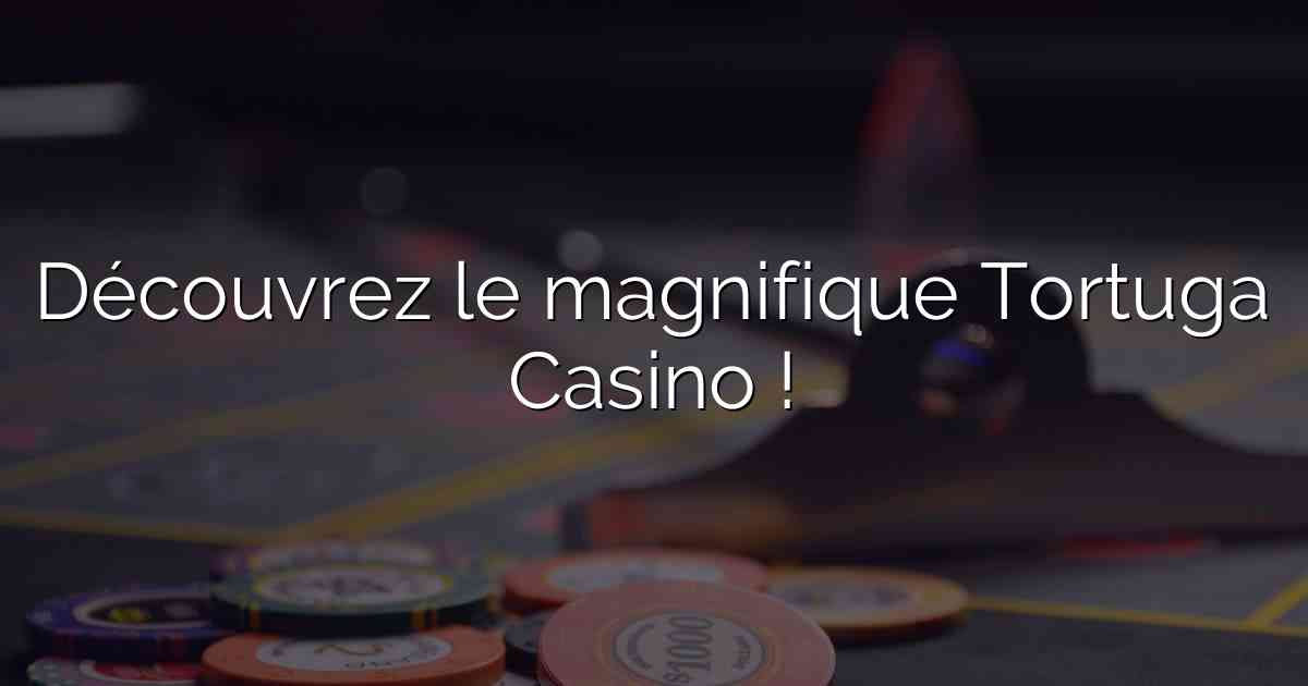 Découvrez le magnifique Tortuga Casino !